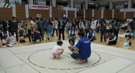 第33回わんぱく相撲荒川区大会