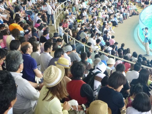 さくら教室校外学習4