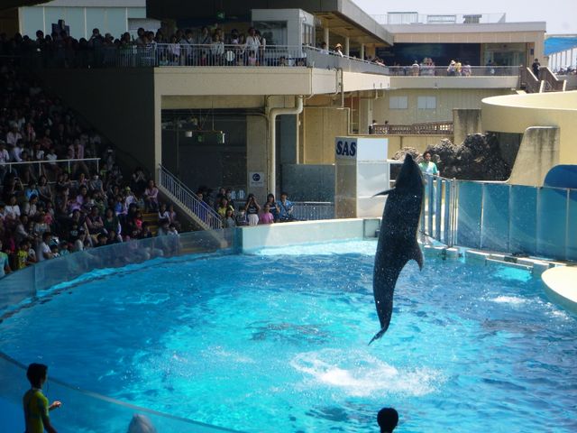 さくら教室校外学習6