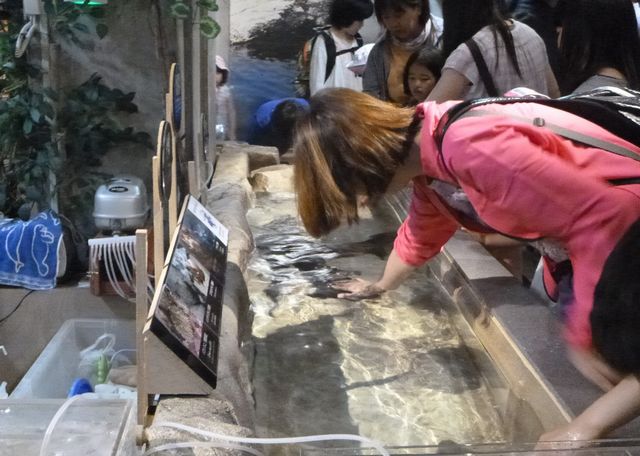 さくら教室校外学習7